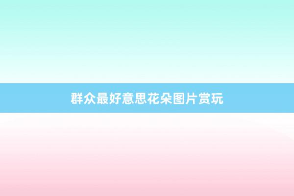 群众最好意思花朵图片赏玩