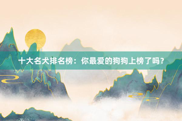 十大名犬排名榜：你最爱的狗狗上榜了吗？